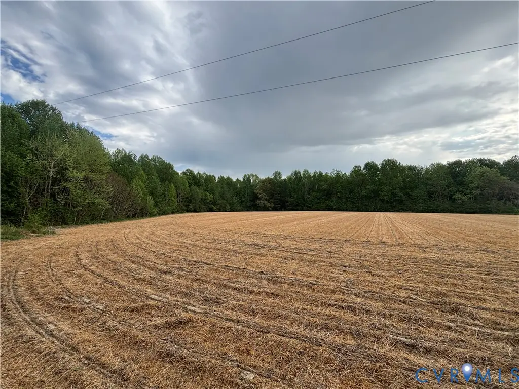 TBD Rolfe Highway, Elberon, VA 23846 - #1