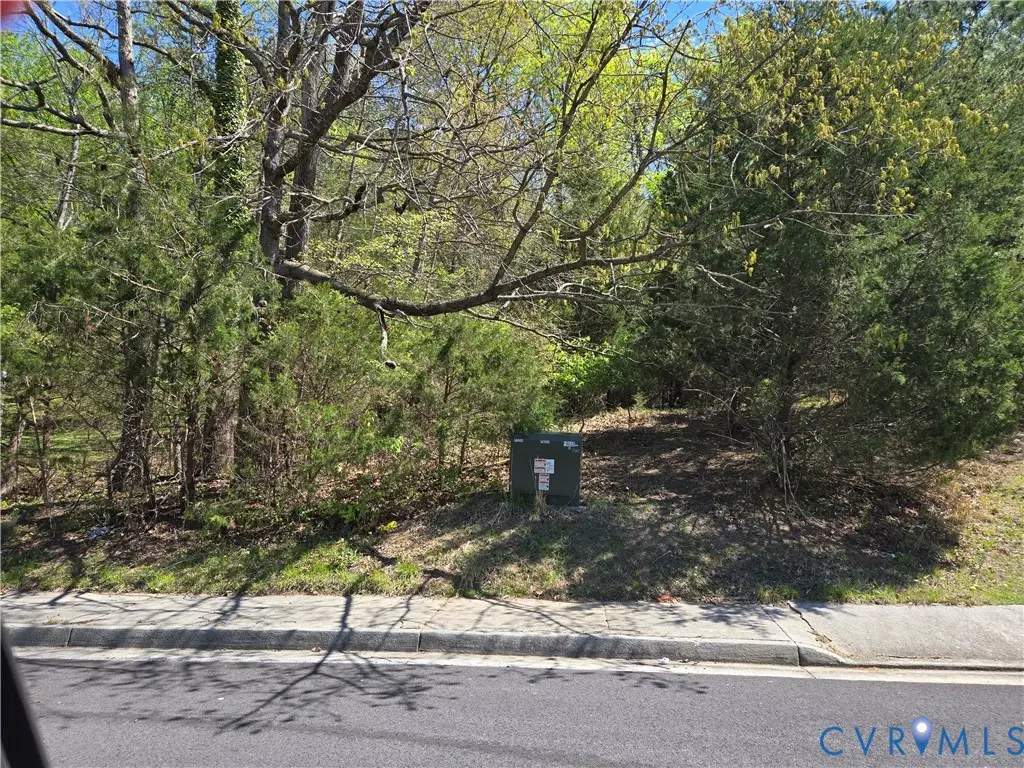 00 S Bridge Street, Farmville, VA 23901 - #1