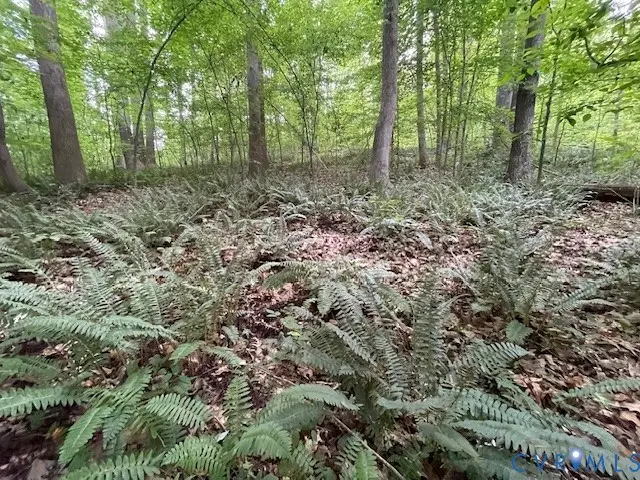 0 Sims Road, Cumberland, VA 23040 - #3