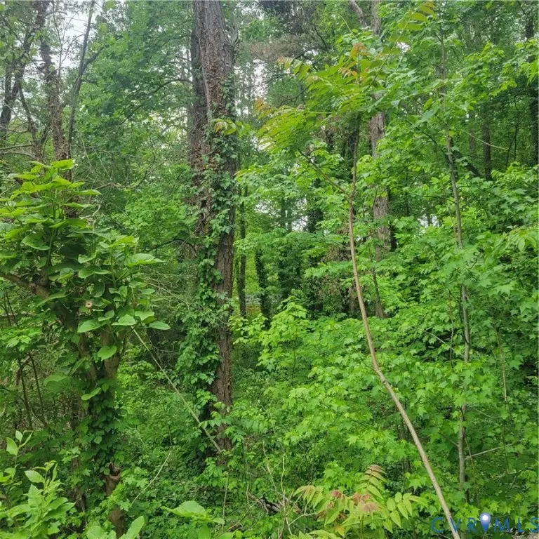 3136 Turner Road, Chesterfield, VA 23832 - #2