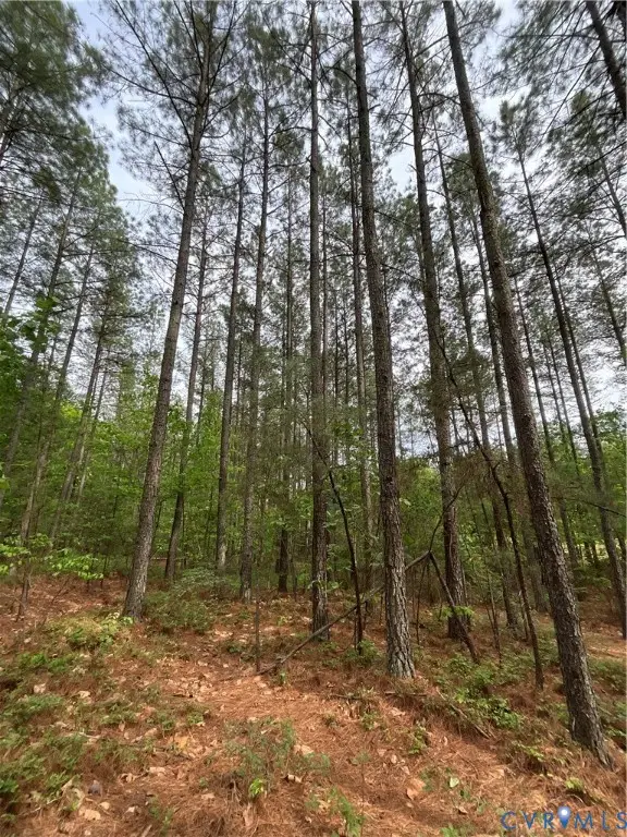 XX Gravel Hill Road, Dillwyn, VA 23936 - #3