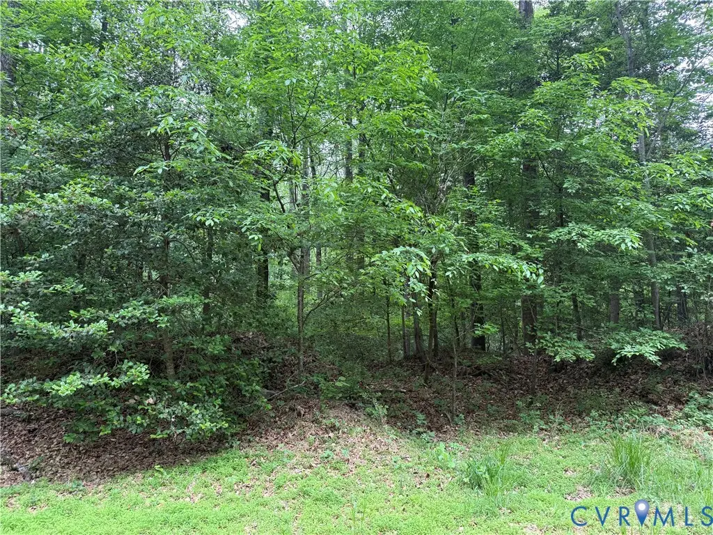 0 Steel Trap Road, New Kent, VA 23124 - #1