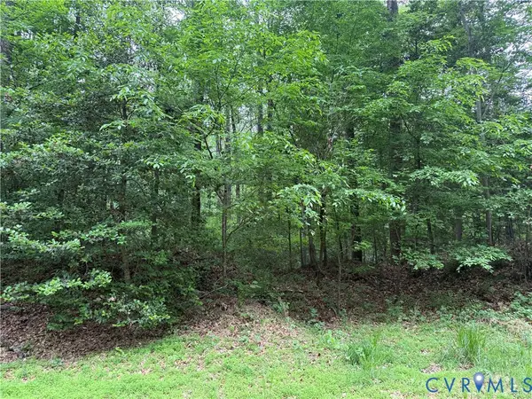 0 Steel Trap Road, New Kent, VA 23124