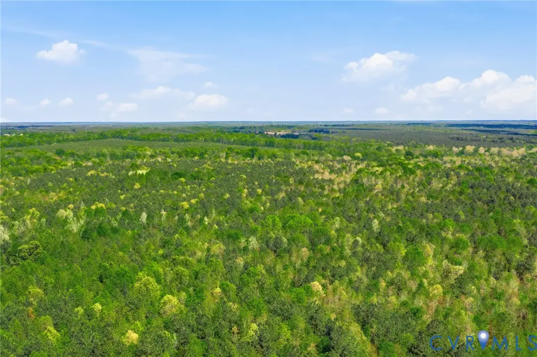 Lot 2 Colemans Lake Road, Ford, VA 23850 - #1