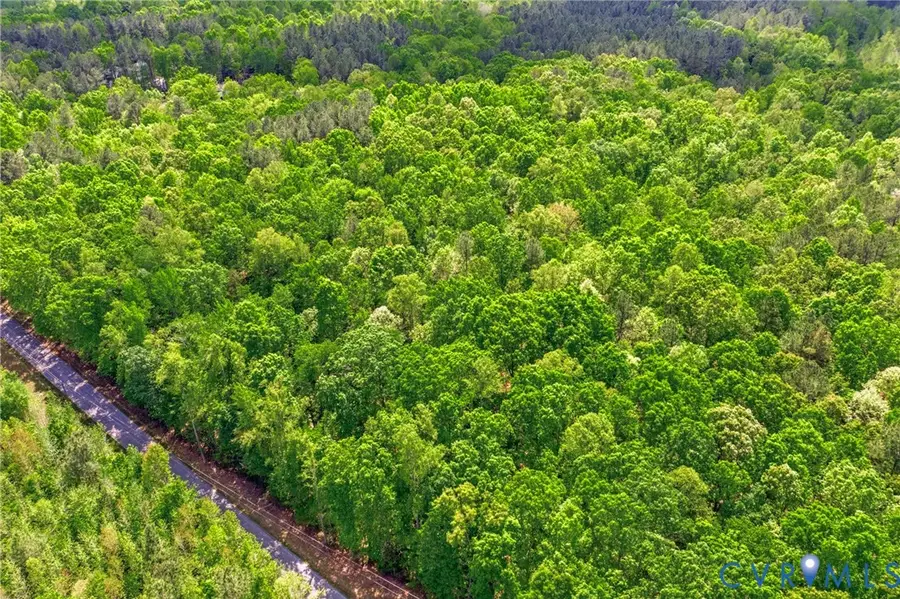 Lot 2 Colemans Lake Road, Ford, VA 23850 - #3