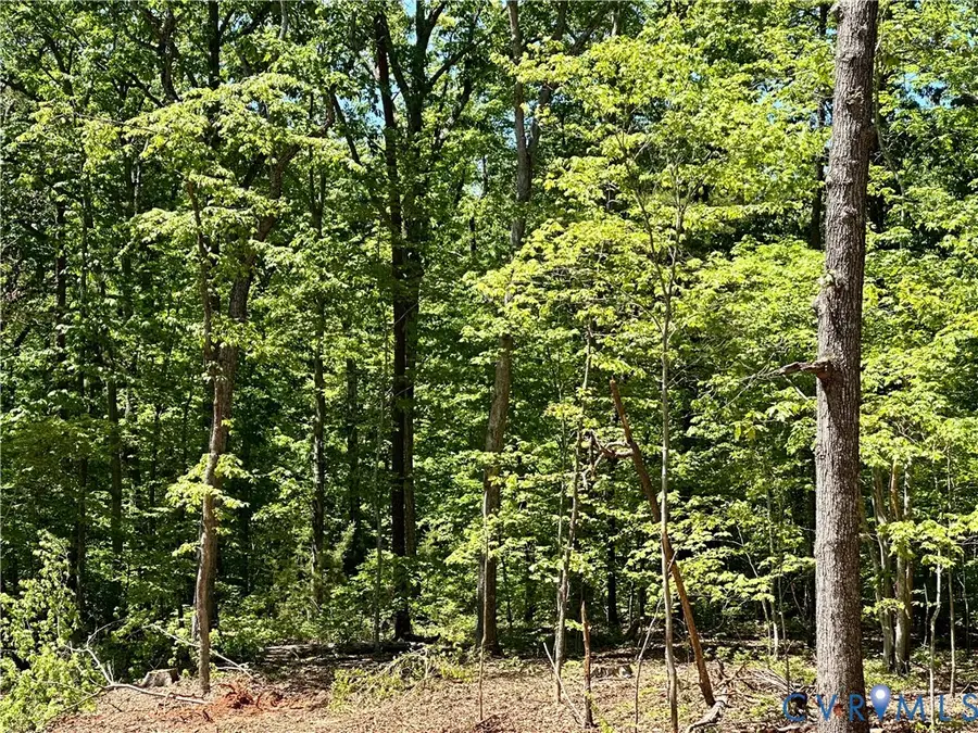 Lot 6 Buffalo Church Rd., Pamplin, VA 23958 - #3