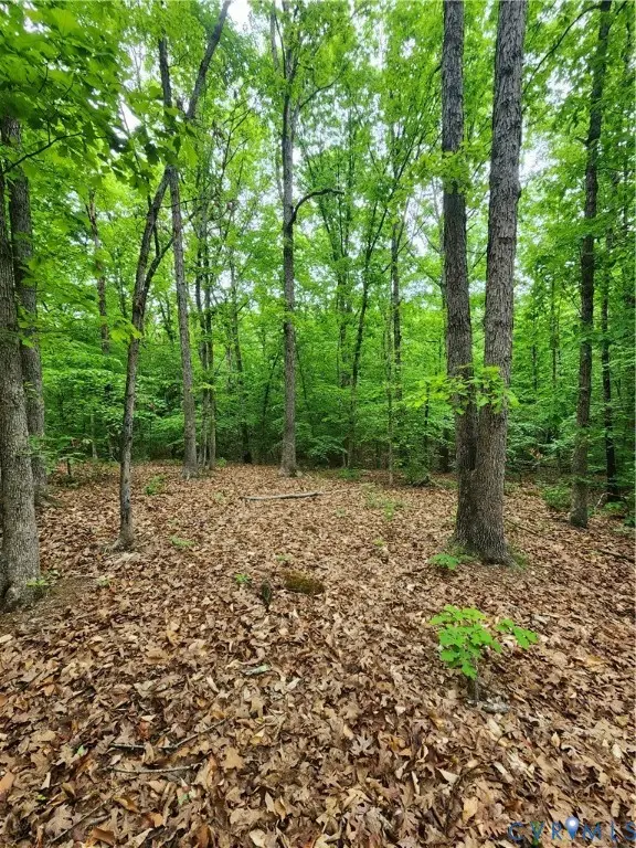 0 Bryants Ford Road, Fork Union, VA 23055 - #1
