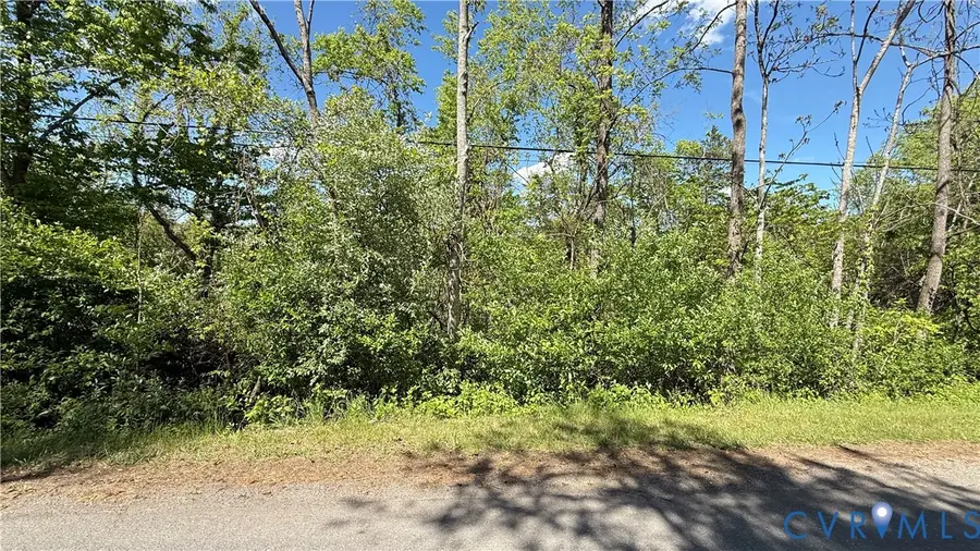 0 Trebark Road, Buchanan, VA 24066 - #2