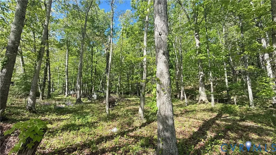 4683 Buffalo Road, Buchanan, VA 24066 - #3