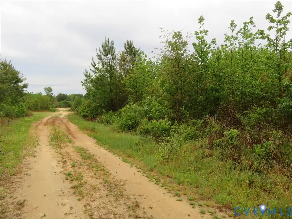 22505 Flatfoot Road, Stony Creek, VA 23882 - #1