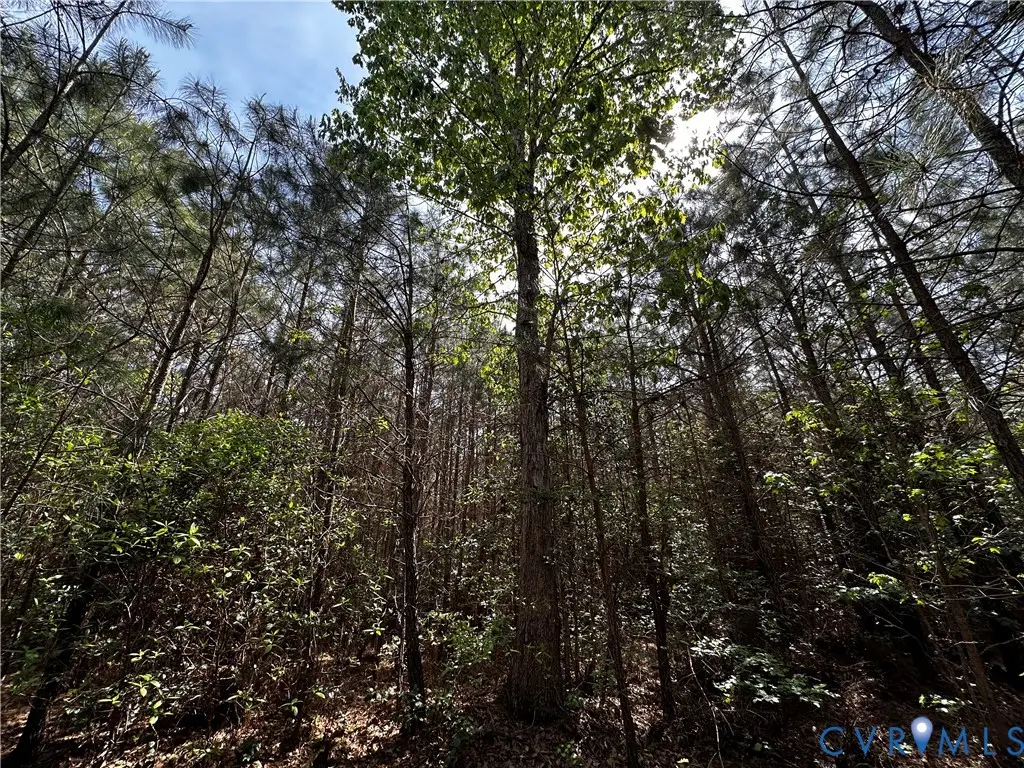 00 N Turnpike Rd, Bohannon, VA 23109 - #1
