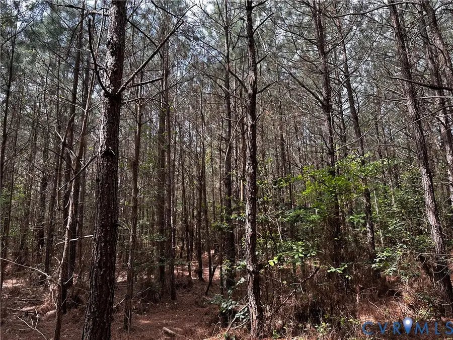 00 N Turnpike Rd, Bohannon, VA 23109 - #2