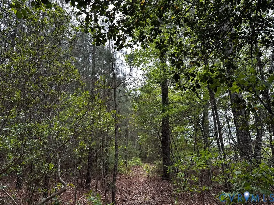 00 N Turnpike Rd, Bohannon, VA 23109 - #3