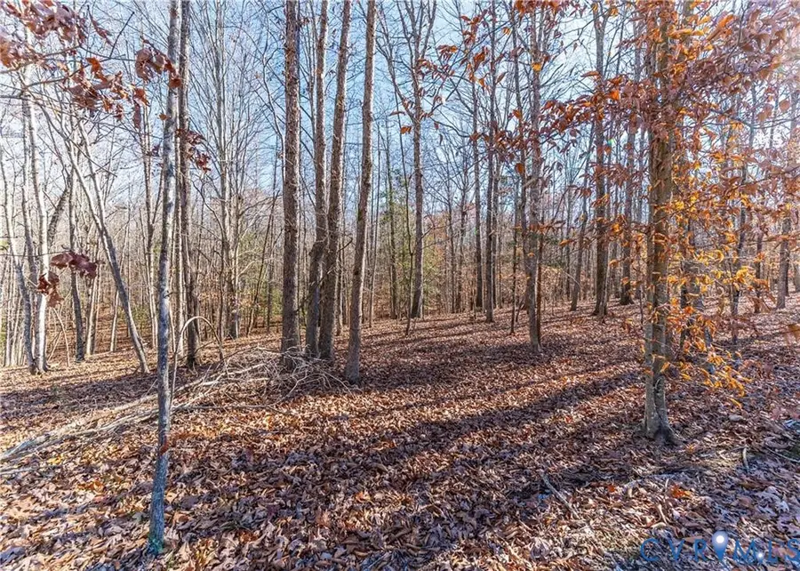 03 Polebridge, Powhatan, VA 23139 - #2