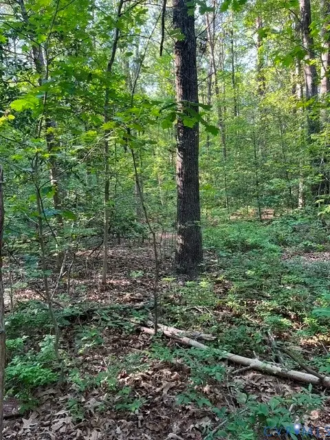 16117 W Patrick Henry Road, Montpelier, VA 23192 - #3