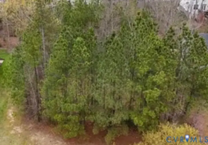 9019 Sir Britton Drive, Chesterfield, VA 23832 - #1
