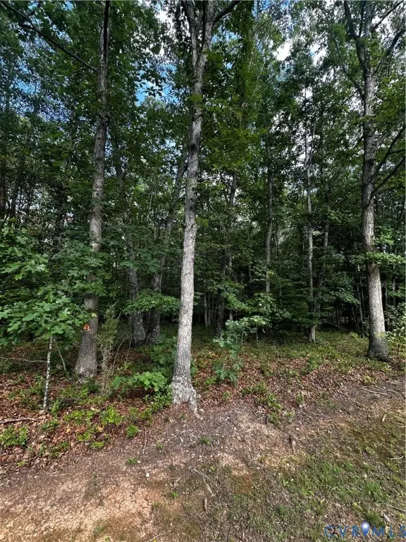 Lot 148 Pinehurst Drive, Green Spring, VA 22942 - #2
