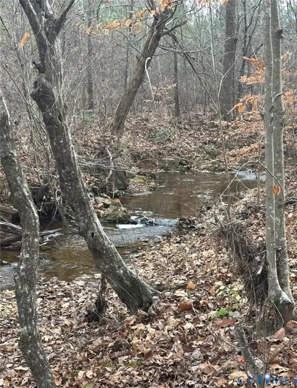 TBD Perkins Mill Road, Dillwyn, VA 23936 - #1