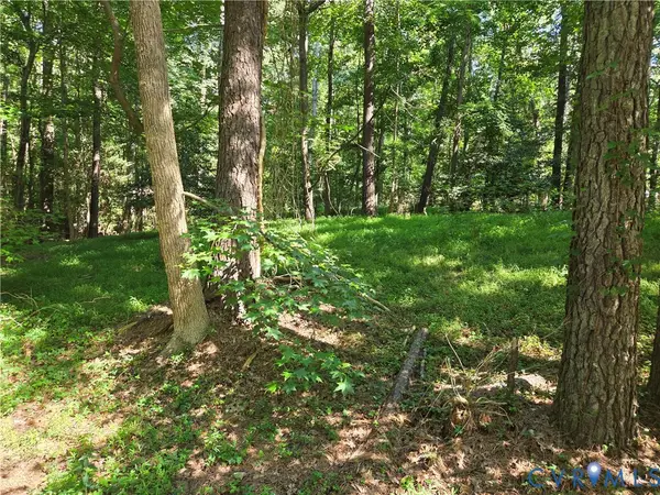 12731 Donegal Drive, Chesterfield, VA 23832