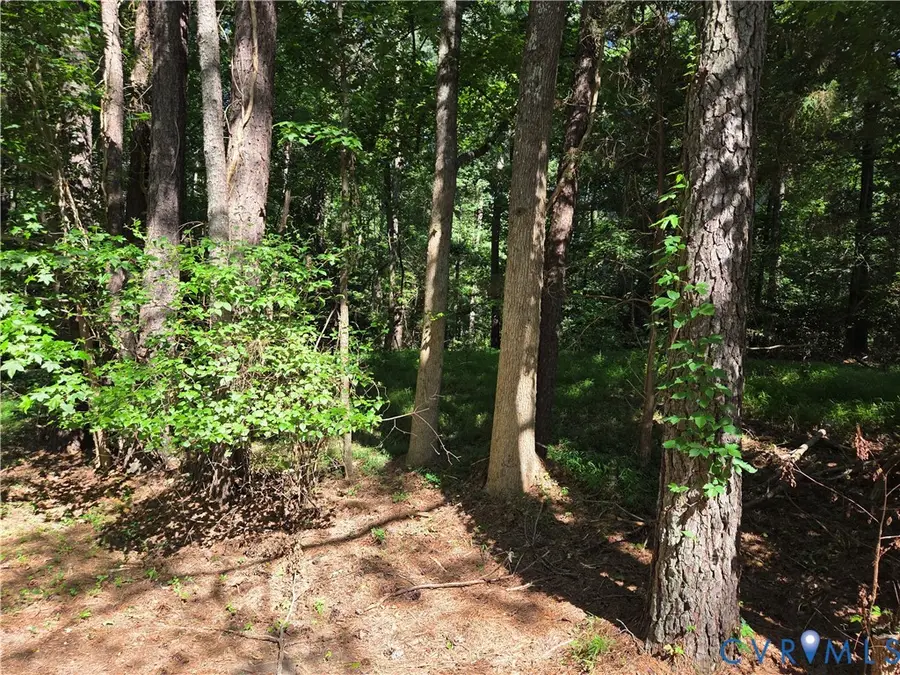 12731 Donegal Drive, Chesterfield, VA 23832 - #3