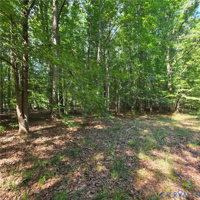 12759 Wendy Lane, Amelia Court House, VA 23002 - #1