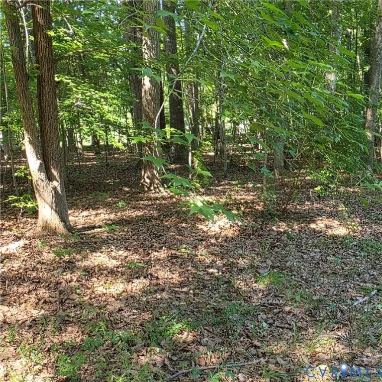12759 Wendy Lane, Amelia Court House, VA 23002 - #2