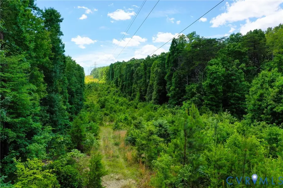 0 Mt Alto Road, Esmont, VA 22937 - #2