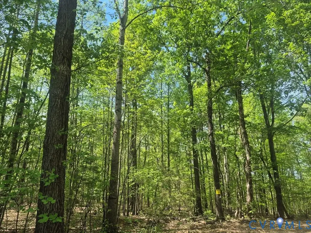 00 Deer Run, Cumberland, VA 23901 - #1