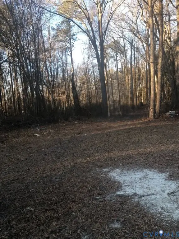 Lot 6 Old Cox Road, Blackstone, VA 23824 - #1