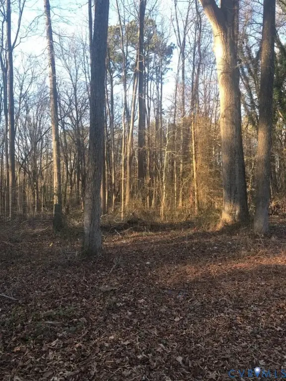 Lot 6 Old Cox Road, Blackstone, VA 23824 - #2