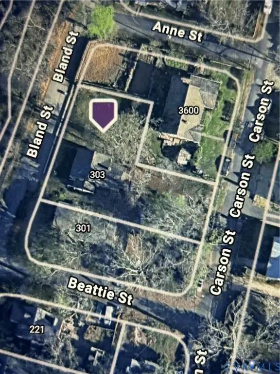 303 Bland Street, Richmond, VA 23225 - #2