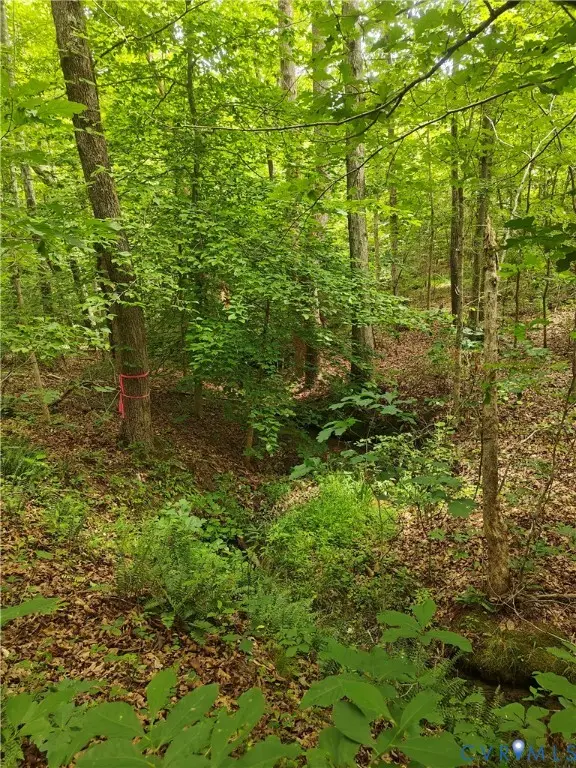 0 Davenport Road, Cumberland, VA 23040 - #2
