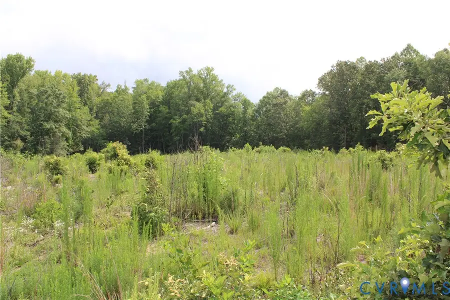 TBD1 Black Branch Road, Stony Creek, VA 23882 - #3