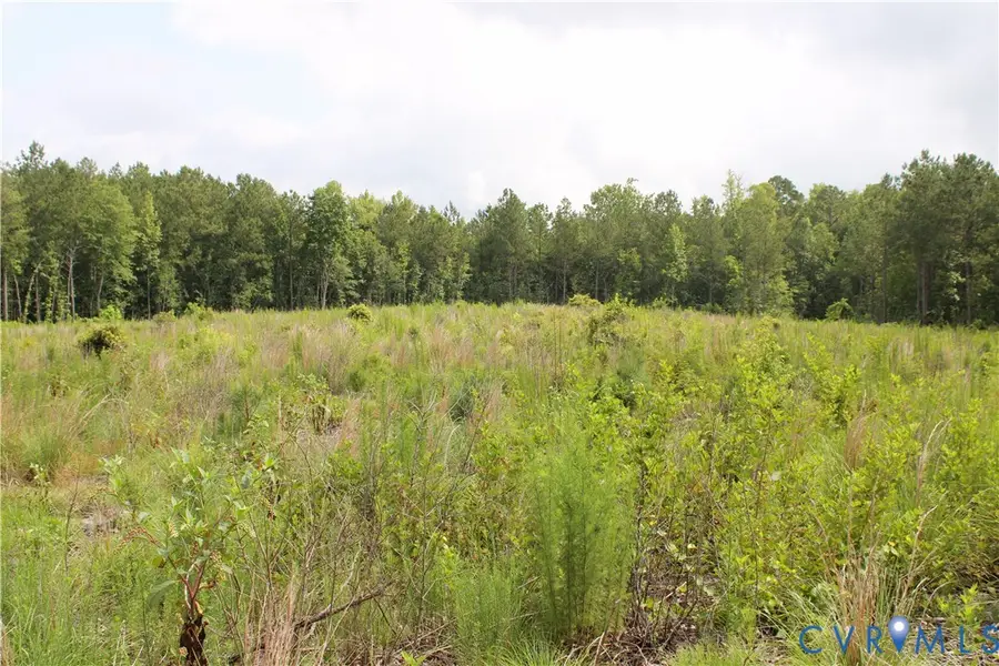 TBD3 Black Branch Road, Stony Creek, VA 23882 - #2