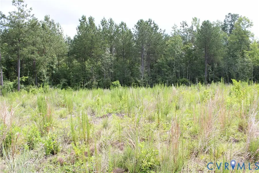 TBD3 Black Branch Road, Stony Creek, VA 23882 - #3
