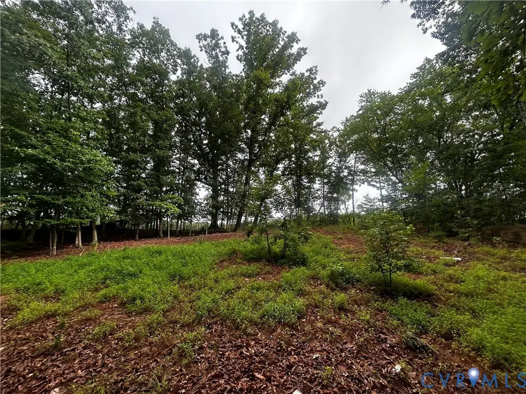 0 Mt Nebo Road, Barhamsville, VA 23011 - #1