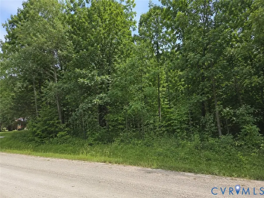 00 Dillard Road, Lawrenceville, VA 23868 - #2