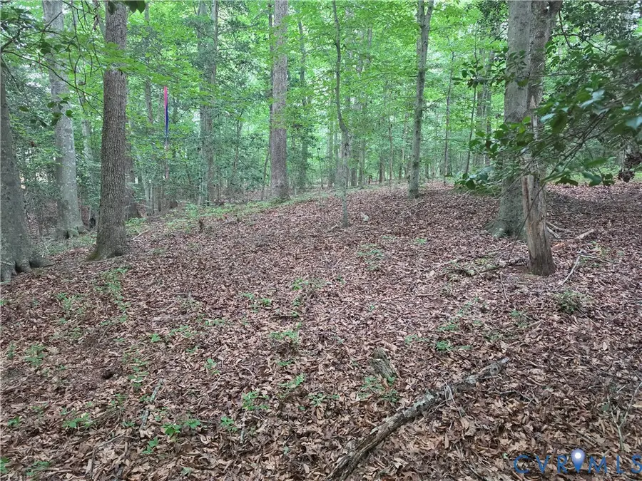 18 Dorrell Road, Aylett, VA 23009 - #3
