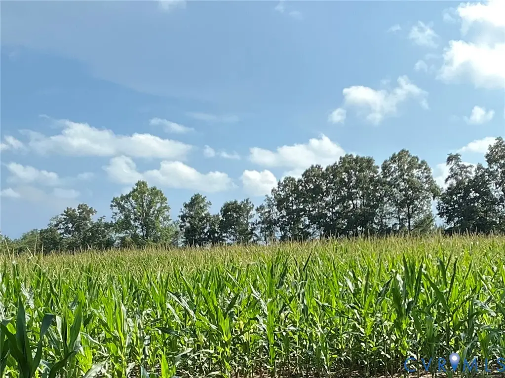00 Fortune (30 Acres) Drive, Milford, VA 22514 - #1