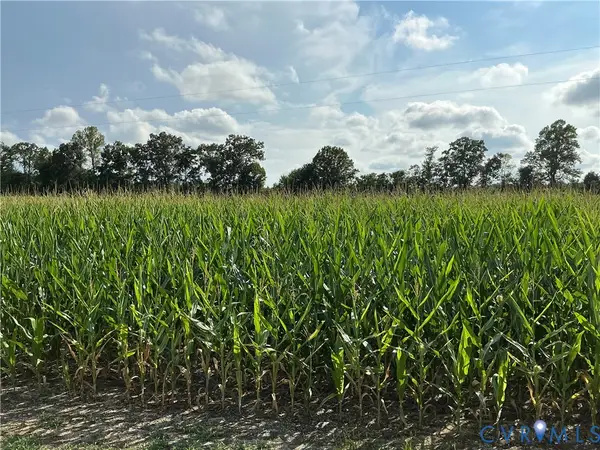 000 Fortune (3 Acres) Drive, Bowling Green, VA 22514