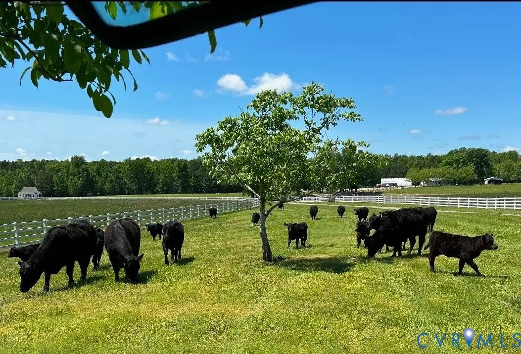 19609 & 19605 White Oak Road, Sutherland, VA 23885 - #1