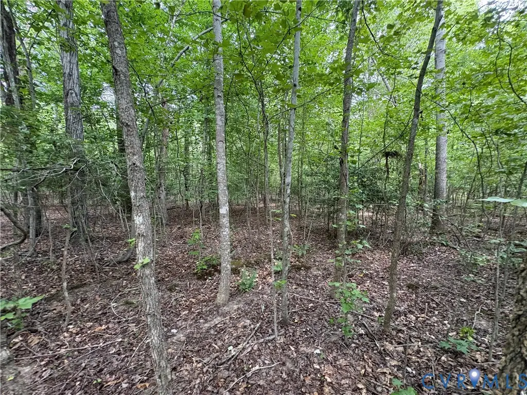 Lot 4 Plum Tree Estates, Jackson, VA 23024 - #1