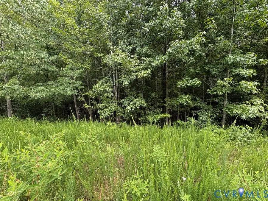 Lot 4 Plum Tree Estates, Jackson, VA 23024 - #3