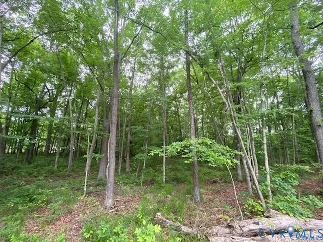 000 Davis Hwy, Patrick Henry, VA 23039 - #2