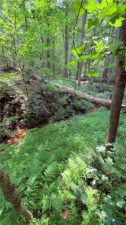 000 Old Buckingham Road, Powhatan, VA 23139