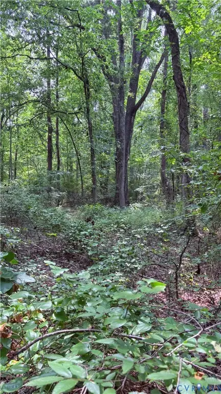 000 Old Buckingham Road, Powhatan, VA 23139 - #2