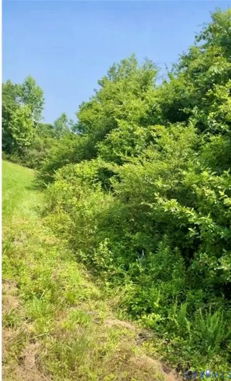 5 Morgan Circle Road, Blackstone, VA 23824 - #2