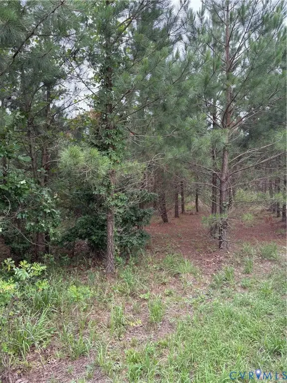 Address Withheld By Seller, Dinwiddie, VA 23841 - #2
