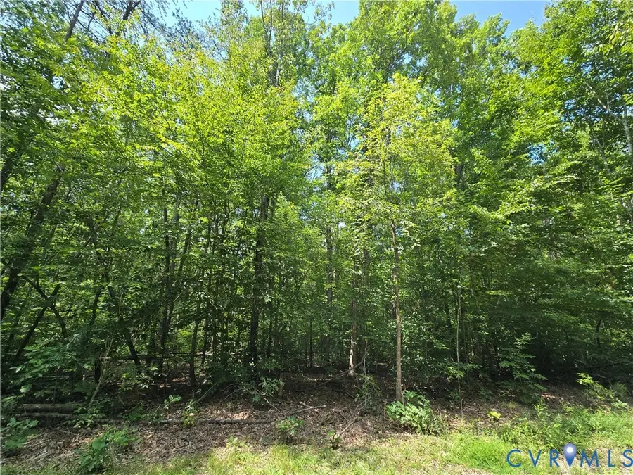 000 Yanceyville Road, Louisa, VA 23093 - #2