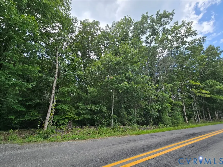 000 Yanceyville Road, Louisa, VA 23093 - #3